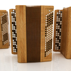 Musical instruments - retro bayans