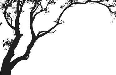 Obraz premium deciduous tree