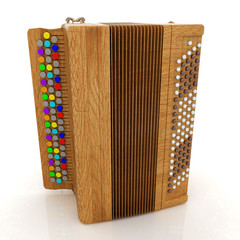 Musical instrument - retro bayan