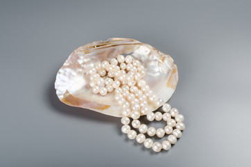 Beautiful necklace of white pearls in pearl