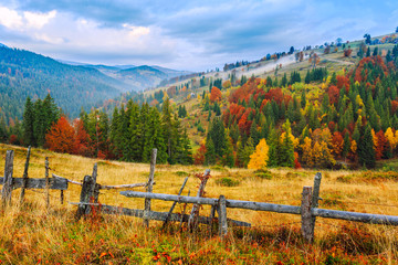 Kleurrijke herfstlandschapsscène met hek in Transsylvanië