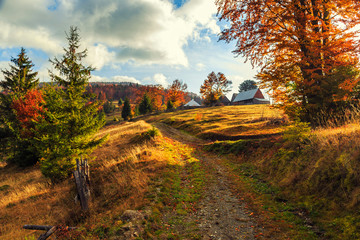 Morning in Carpathians mountain Transylvania