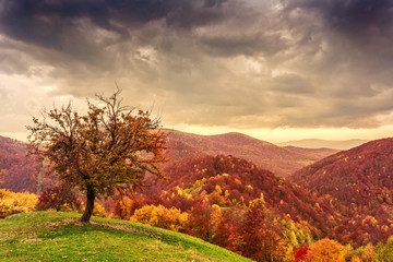 Colorful autumn landscape in the Carpathian mountains
