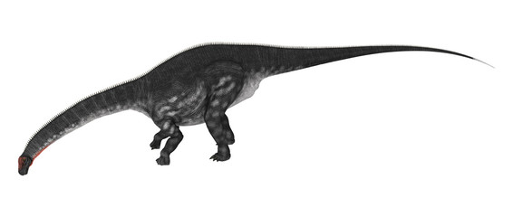 Obraz na płótnie Canvas Dinosaur Apatosaurus