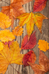 Dry autumn leaves on old plank
