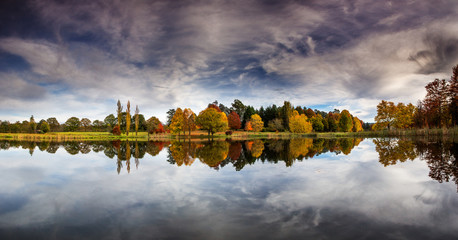 autumn tree's