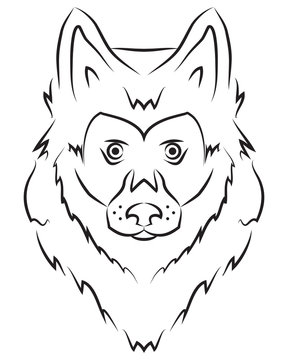 Vector wolf head