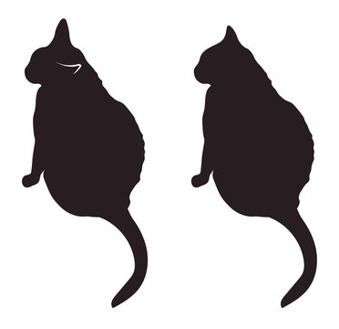 Black cat silhouettes vector illustration