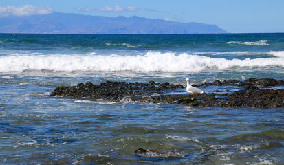 View on Atlantic ocean and La Gomera island from Tenerife,Canary Islands,Spain.