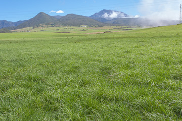 Fototapeta premium pâturages des hautes plaines, île de la Réunion