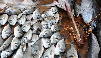 Poisson