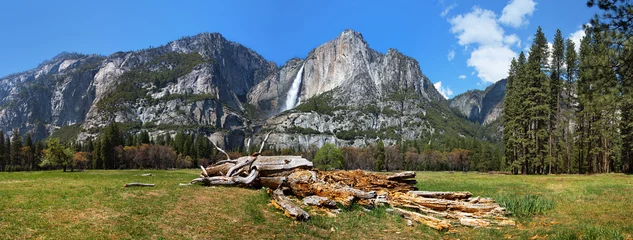 Foto op Canvas Yosemite Meadow panorama © Rixie
