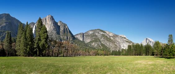 Yosemite Meadow panorama