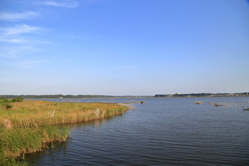 印旛沼の風景