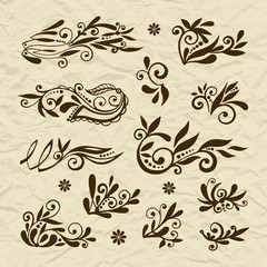 Set of vector stylized flowers & leaves, retro old vintage swirls on torn paper