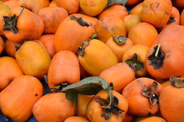 Diospyros background