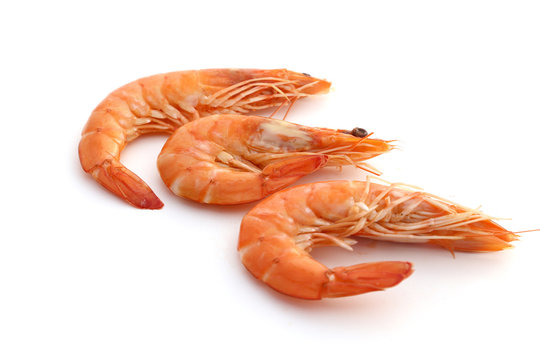 Gambas