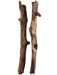 Naklejka premium Tree sticks