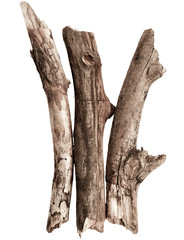 Naklejka premium Broken tree branches