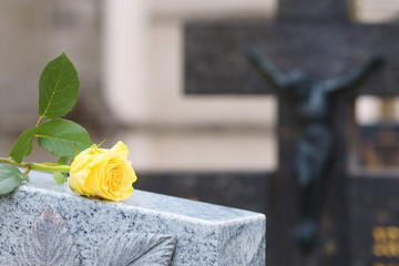 Allerheiligen, Allerseelen, Grabstein mit Rose auf Friedhof