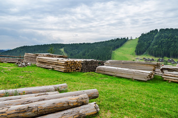 Fototapeta na wymiar logs in mountain. start of construction