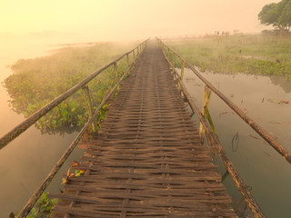 wood bridge in the forest