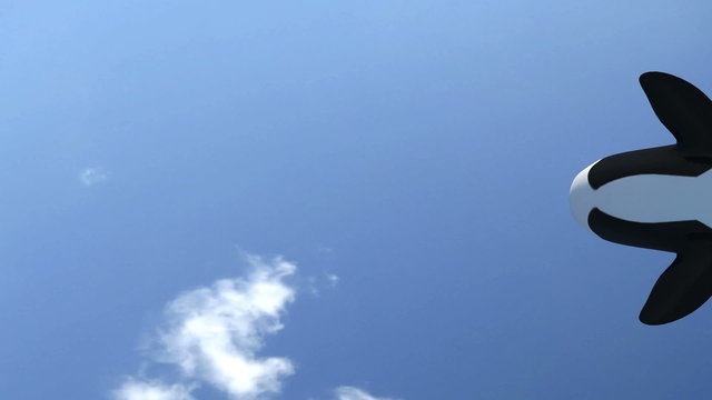 Killer Whale Backflip (with Matte)