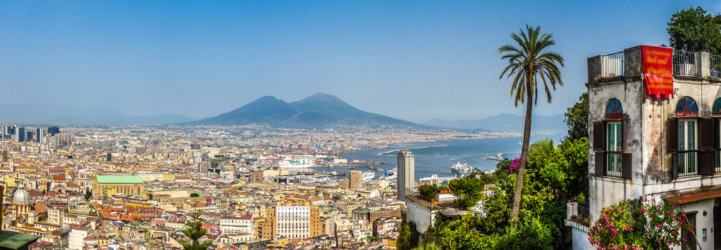 City of Naples with Mt Vesuvius and palm tree at sunset, Campania, Italy