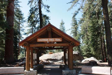 Sherman Tree Trail in Sequoia National Park, California USA