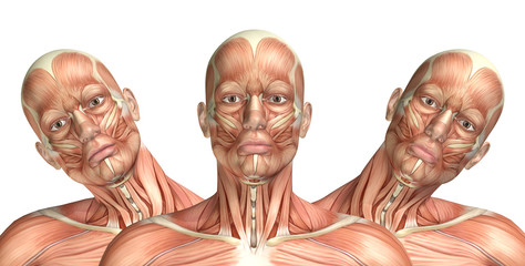 3D male medical figure showing cervical lateral bending - obrazy, fototapety, plakaty