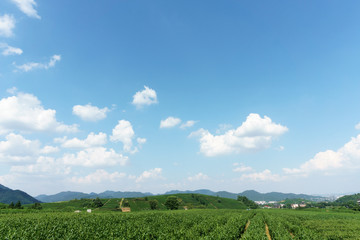 village under clear, blue sky and white clouds