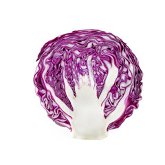 Fototapeta premium fresh red cabbage on a white background