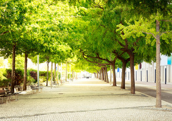 Green alley