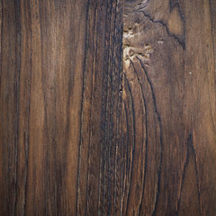 Obraz premium wood grain surface texture background, close-up detail of wooden