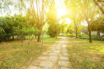Obraz premium walking path in the park with fallen leaves