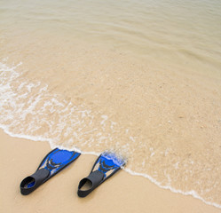 Blue diving fins on  the beach