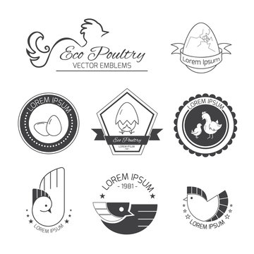 Set of poultry logos