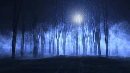 Obraz premium 3D foggy spooky forest