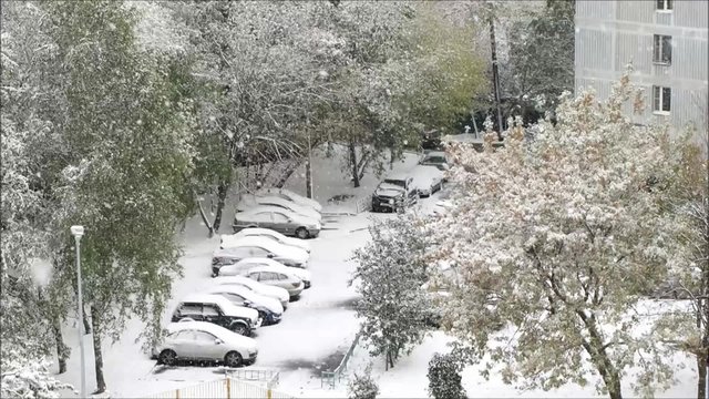 Первый снег в Москве. Снегопад осенью. Зеленые, желтые деревья. Хлопья снега. Московский двор, машины