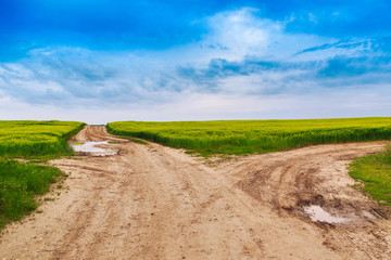 Summer landscape with green grass, road