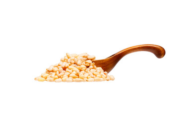 Pine nuts in the wooden spoon, isolated on white background.