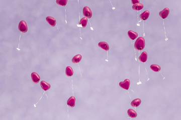 Group of beautiful rose heart ballons in front of a wonderful purple sky – symbol of love. Perfect for illustrating e.g. weddings, Valentine's Days or anniversaries
