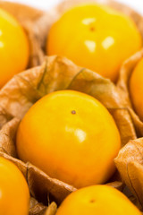 フルーツホオズキ