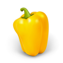 Realistic pepper. Vector illustration contains gradient mesh.