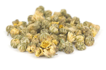 Chrysanthemum morifolium Buds; Non sharpened file