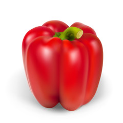 Realistic pepper. Vector illustration contains gradient mesh.