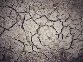 Cracked dry soil