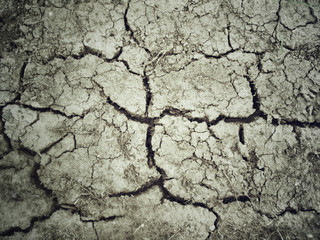 Cracked dry soil