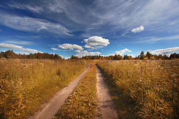 road in summer field