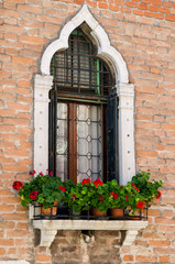 Fototapeta na wymiar A lancet window with red geranium in crocks in Venice